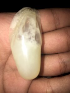CAMISINHA CHEIA DE PORRA