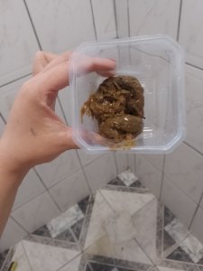 Pote da felicidade 