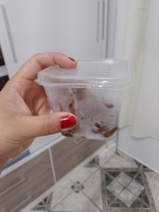 Potinho da felicidade 