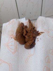 SCat 