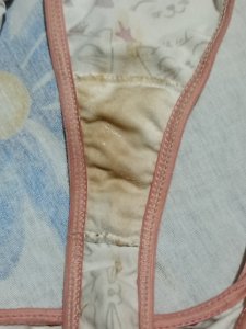 Calcinha usada de bichinho