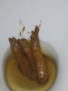 Venha ver de onde sai meu chocolate 