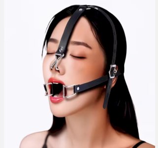 2 mordaças- Gag Ball e Separador de boca com Gancho nasal