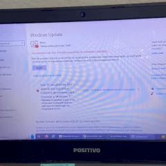 fellipeeloy12